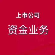 上市公司审计过账/美化财务报表